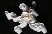 Check out first year project